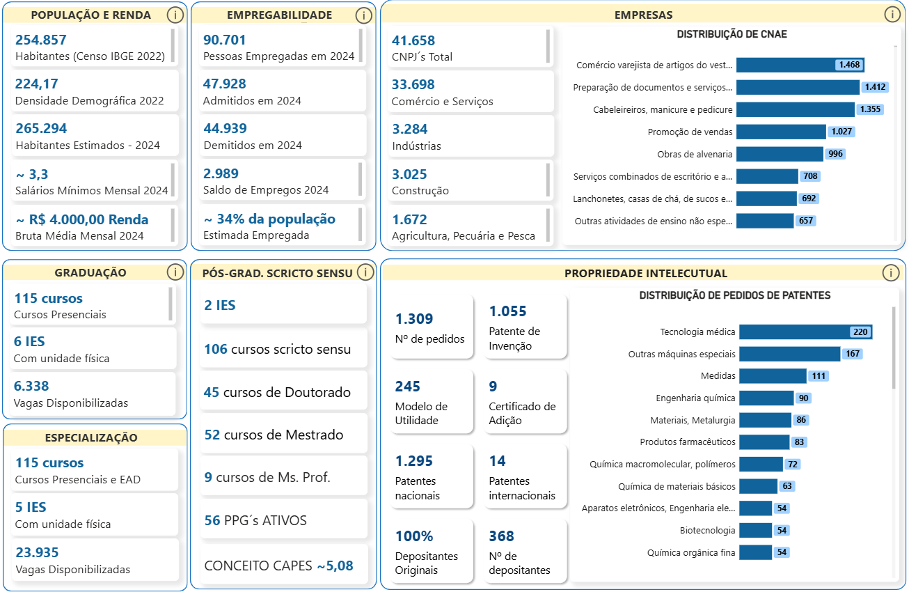 Interface completa do dashboard do mapeamento